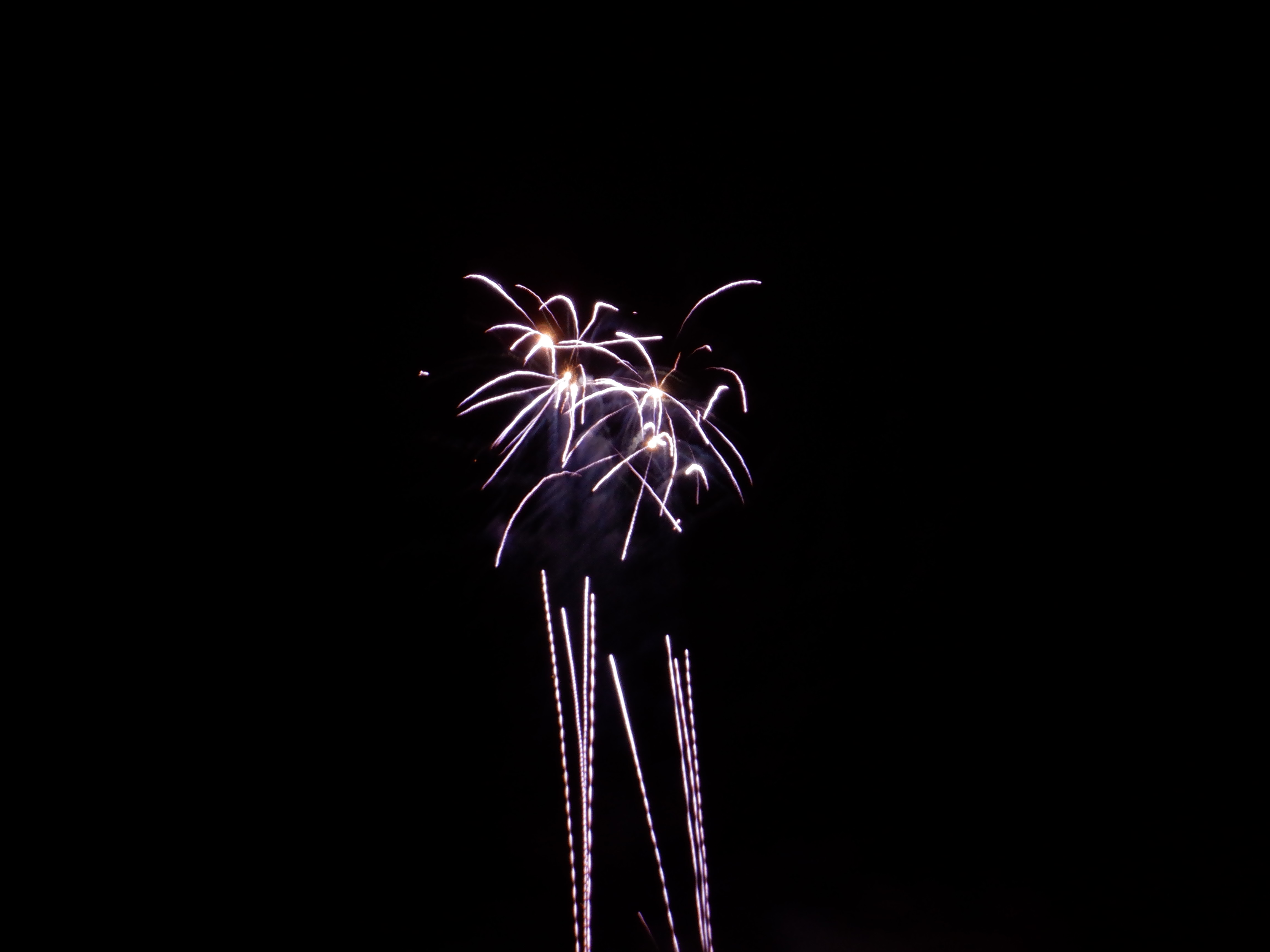 ./2019/15 - Colonial Williamsburg/DSCF0682.JPG